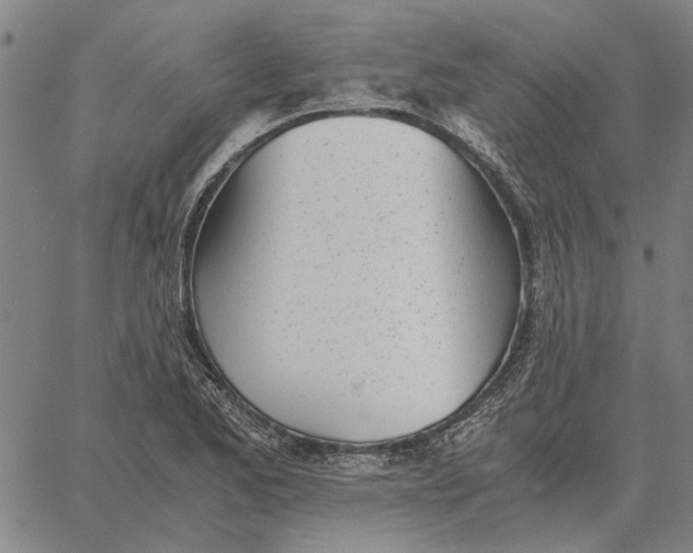 X0000061721173200512231401