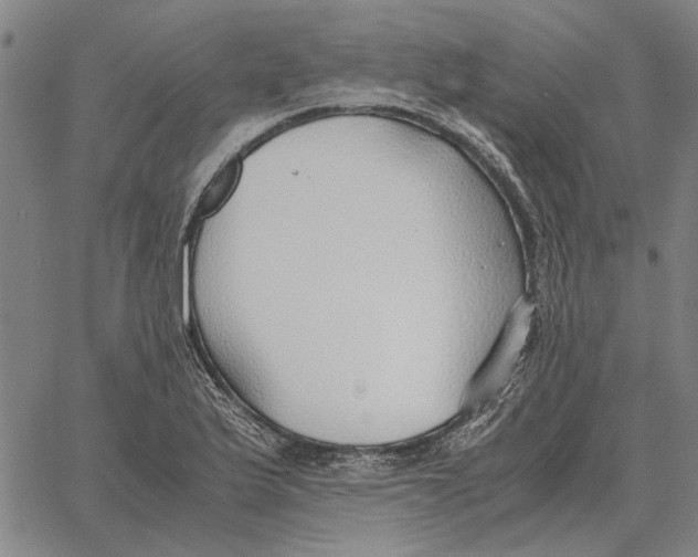 X0000061721175200512231401