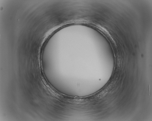 X0000061721176200512231401