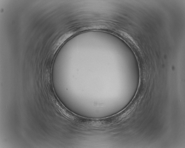 X0000061721177200512231401