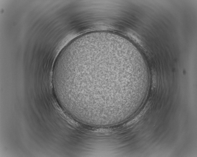 X0000061721178200512231401