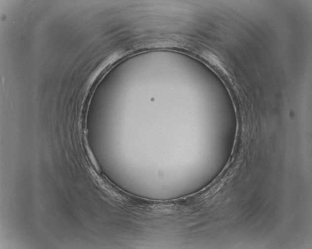 X0000061721181200512231401