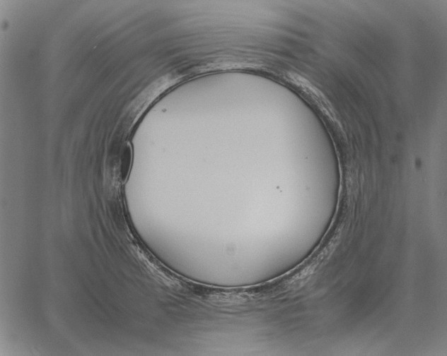 X0000061721185200512231401