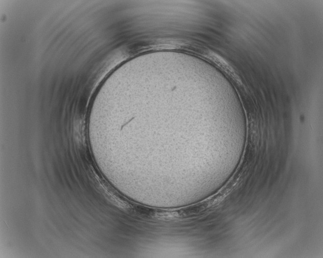 X0000061721186200512231401