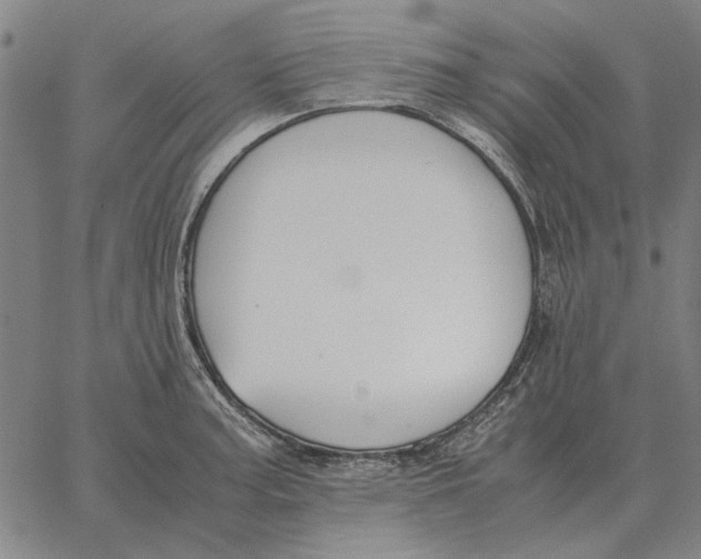 X0000061721187200512231401