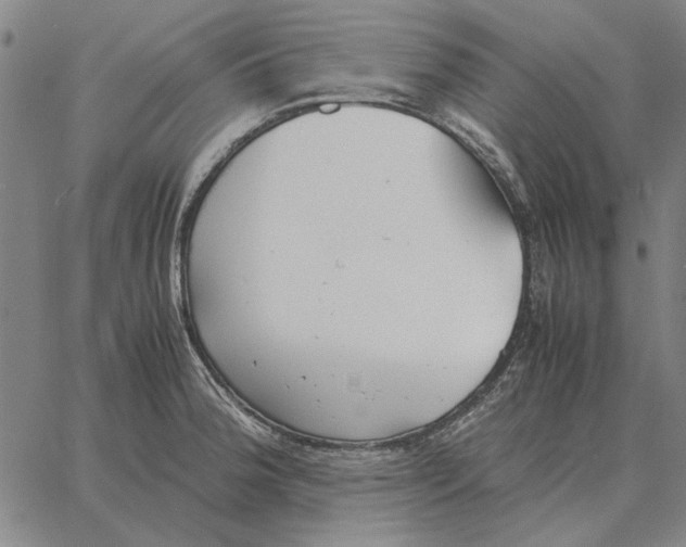 X0000061721188200512231401