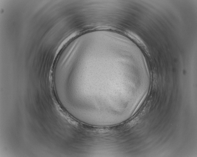 X0000061721190200512231400