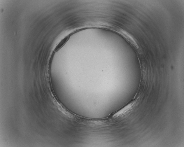 X0000061721192200512231400