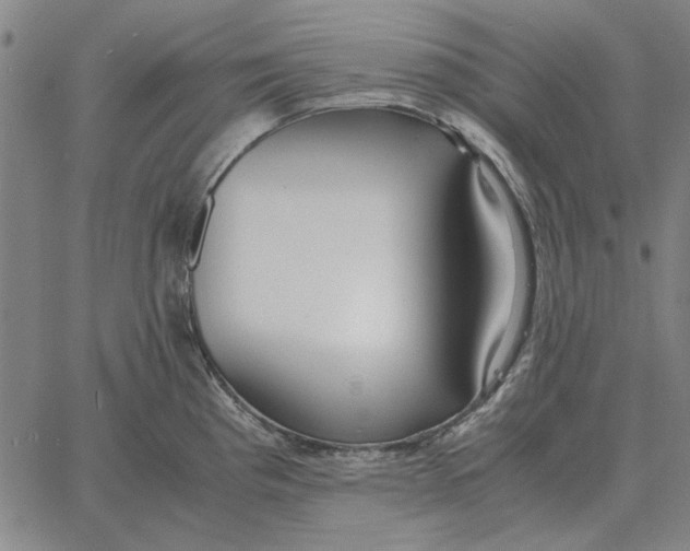 X0000061721193200512231400