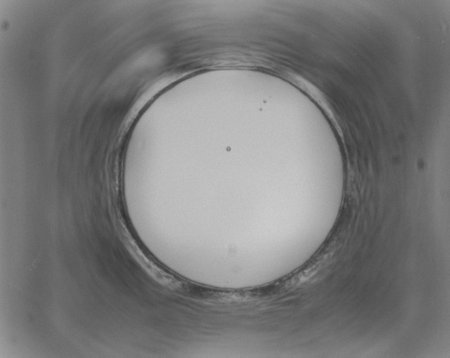 X0000061721195200512231400