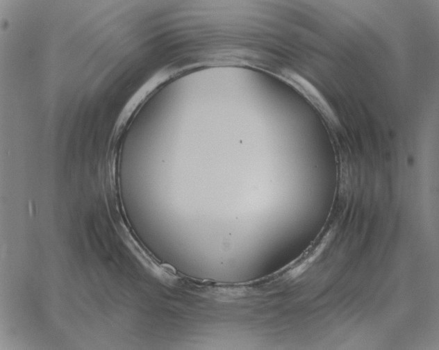 X0000061721196200512231400