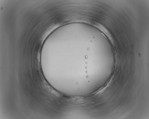 X0000061721198200512231400