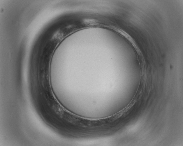 X0000061721199200512231400