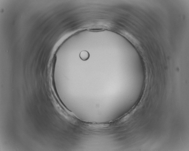 X0000061721200200512231400