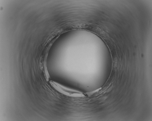 X0000061721202200512231400