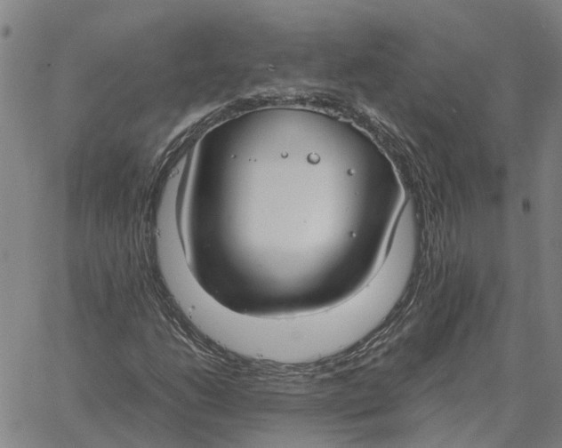 X0000061721206200512231400