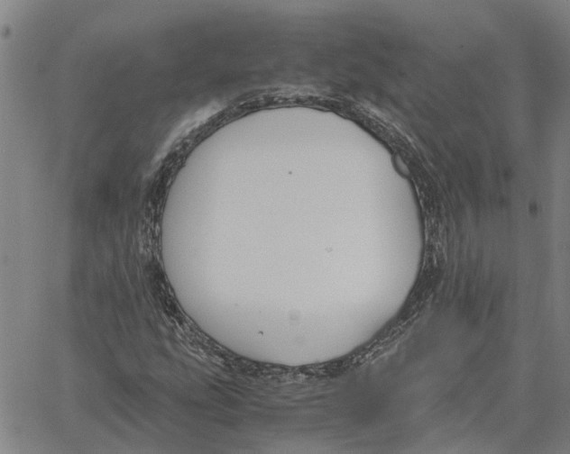 X0000061721207200512231400