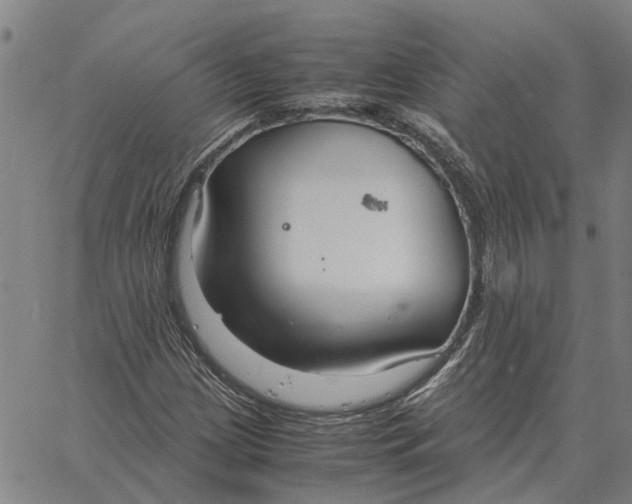 X0000061721209200512231400