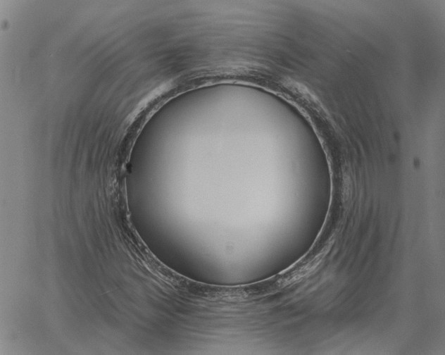 X0000061721210200512231400