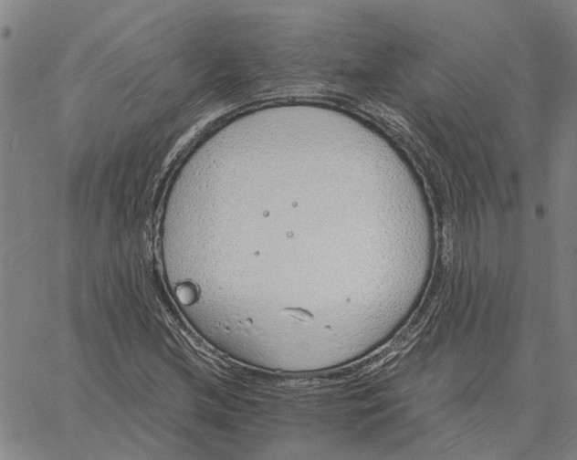 X0000061721212200512231400