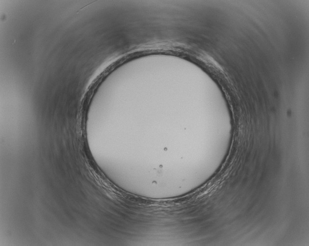 X0000061721216200512231400