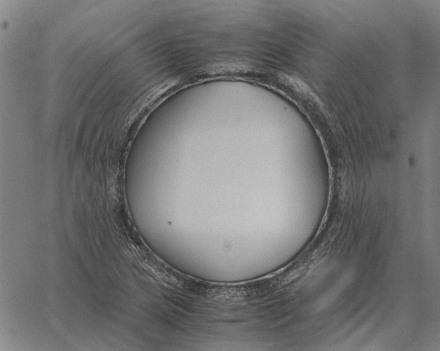 X0000061721217200512231400