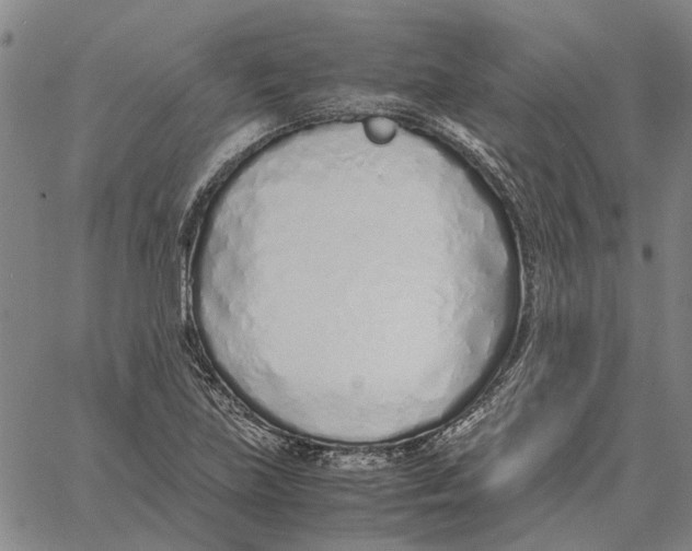 X0000061721219200512231400