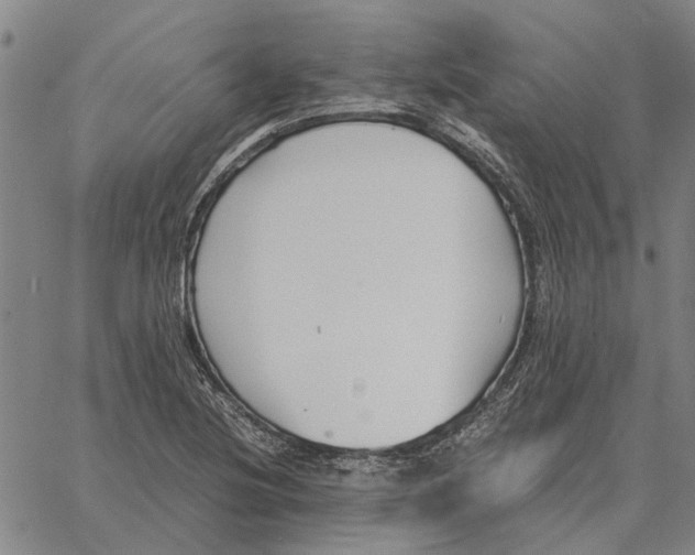 X0000061721220200512231400