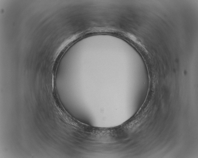 X0000061721221200512231400