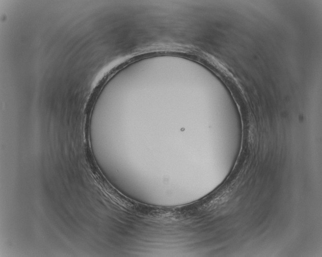 X0000061721222200512231400