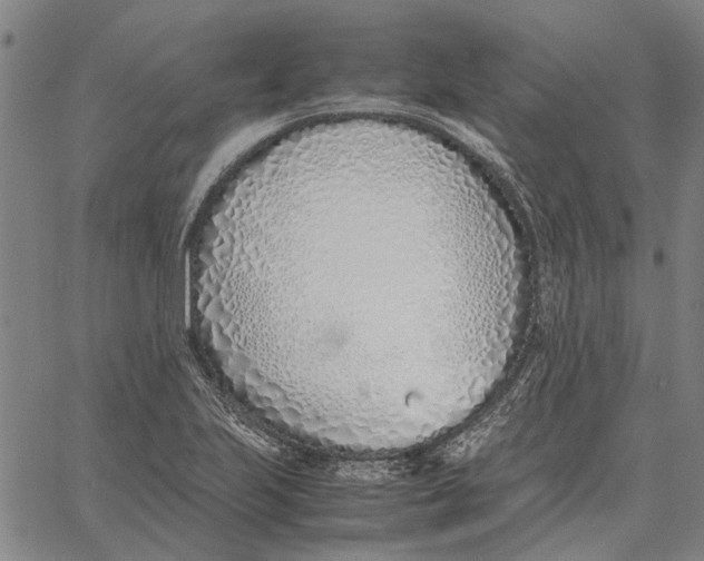 X0000061721223200512231400