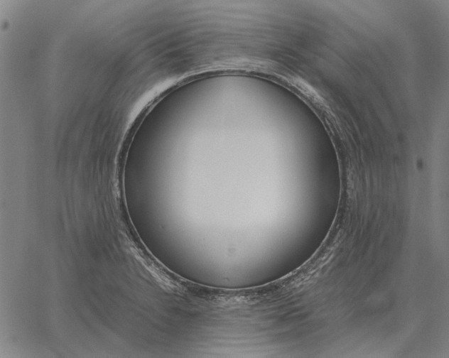 X0000061721230200512231400