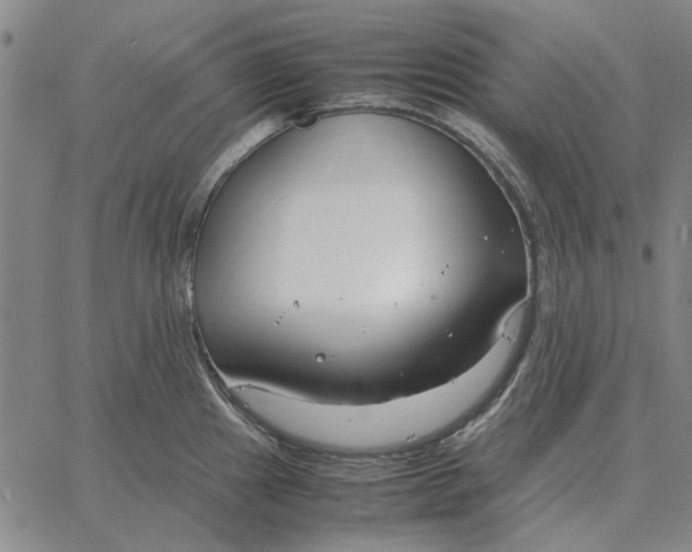 X0000061721241200512231400