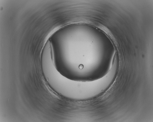 X0000061721242200512231400