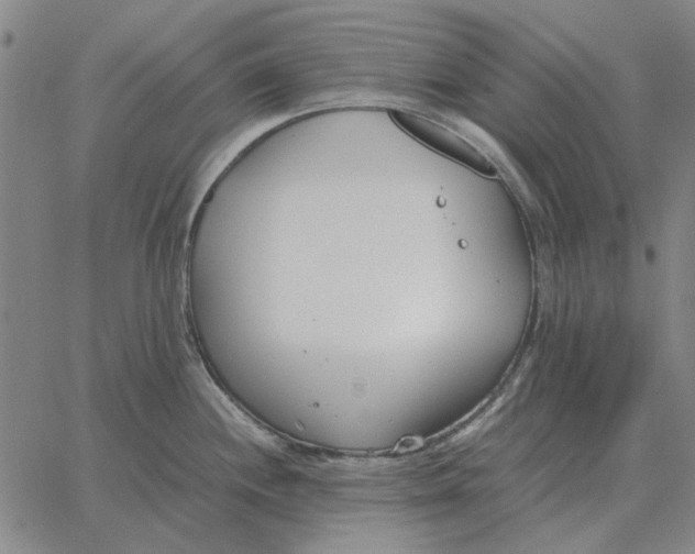 X0000061721244200512231400