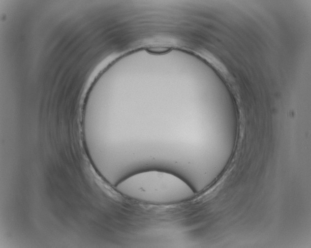 X0000061721248200512231400