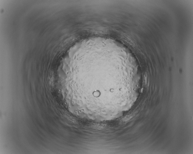 X0000061721251200512231359