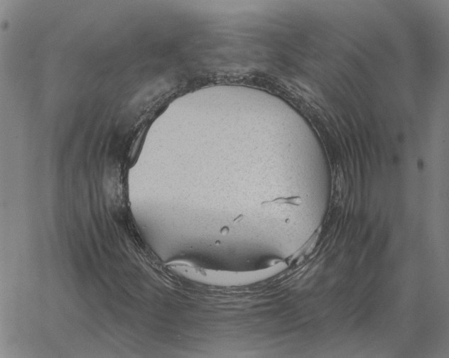 X0000061721252200512231359