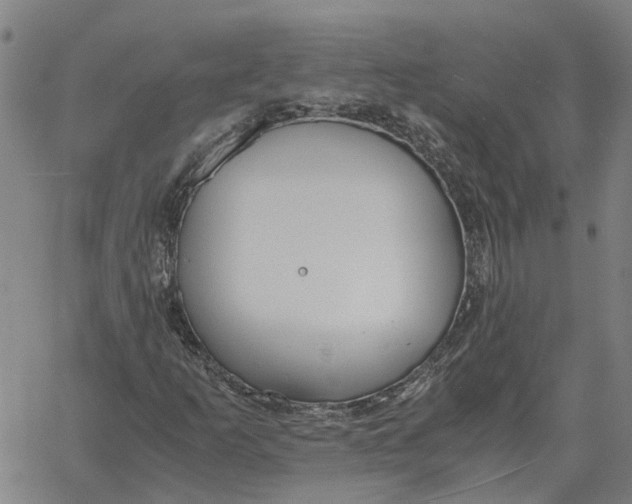 X0000061721253200512231359