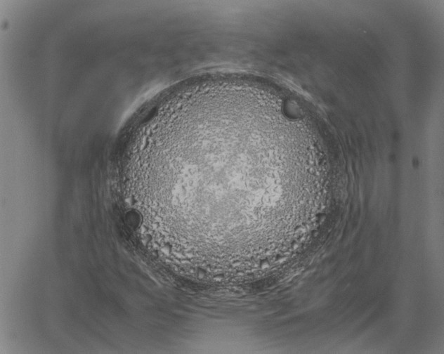 X0000061721255200512231359