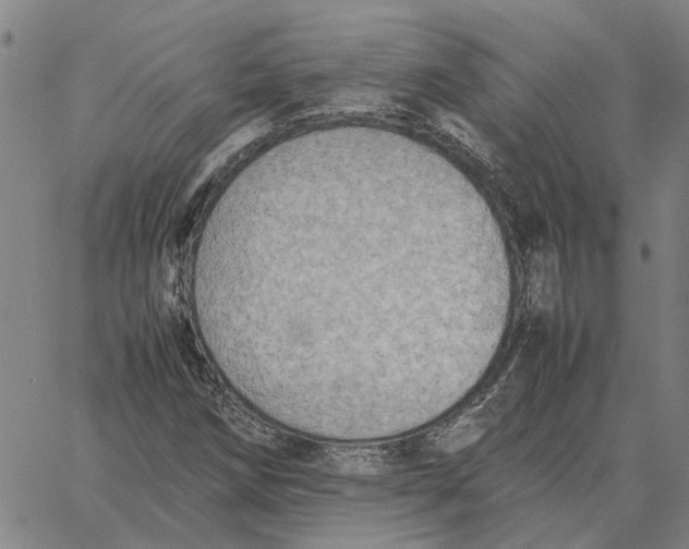 X0000061721258200512231359