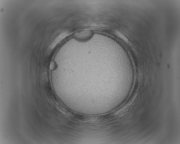 X0000061721259200512231359