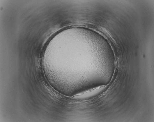 X0000061721260200512231359