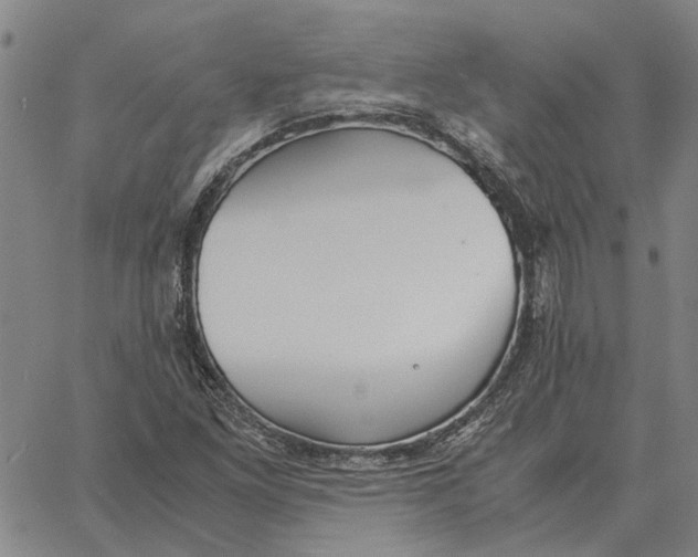 X0000061721261200512231359