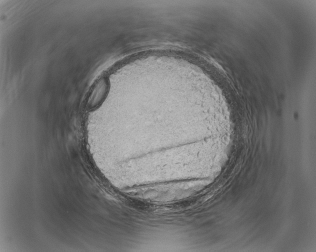 X0000061721263200512231359