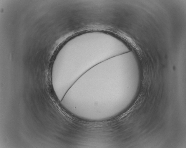 X0000061721264200512231359