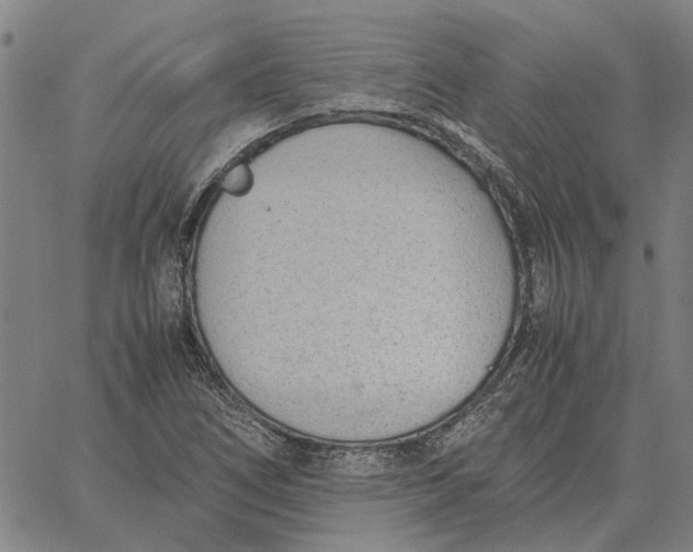 X0000061721266200512231359