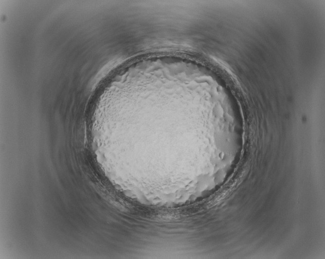 X0000061721267200512231359