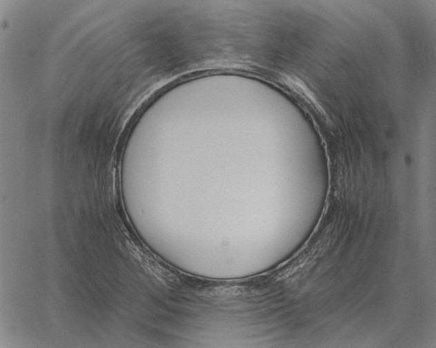 X0000061721268200512231359