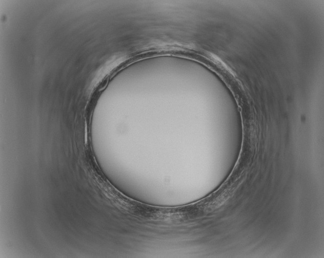 X0000061721269200512231359